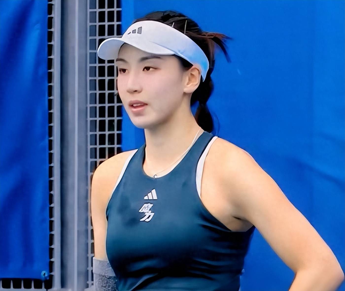 在多米尼加 在多米尼加